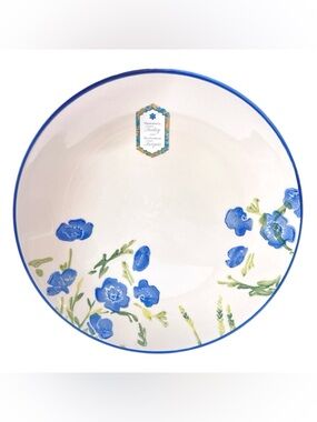 Set of 4 Hand Painted 10.5” Dinner Plates Blue Floral Cottagecore Boho Flower